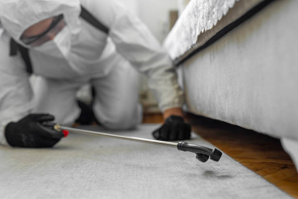 Professional Ant Control technician working in Hobe Sound, FL